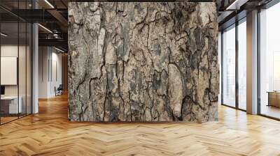 Old tree bark with beautiful patterns for graphic design Wall mural