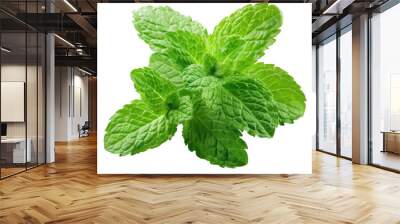 A bunch of fresh mint leaves Wall mural