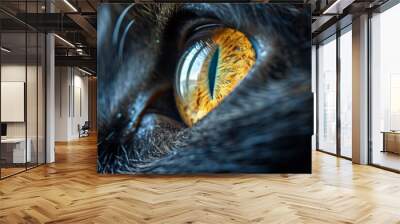 A close up of a cat's eye with a yellow iris Wall mural