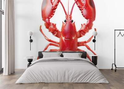 A large red lobster is shown on a white background Wall mural