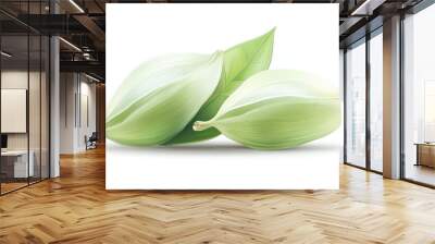 Two green leaves and a seed are on a white background Wall mural