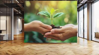 Two people holding a plant in their hands Wall mural