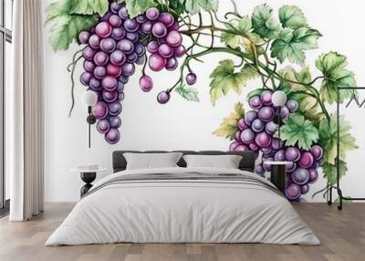 Watercolor Painting of Grapes and Vine Leaves. Wall mural