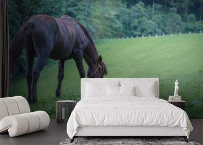 horse in the meadow Wall mural