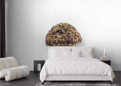 dried shiitake mushrooms Wall mural