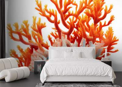 coral reef isolated on transparent background cutout Wall mural