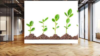 Growth Stages on White: A captivating visual of six vibrant green plant seedlings at progressive growth stages, symbolizing development. Wall mural