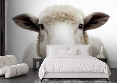 sheep face shot isolated on transparent background cutout Wall mural