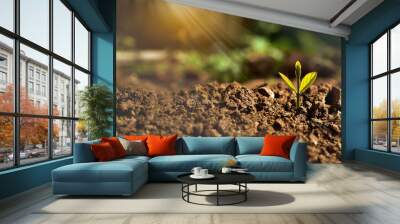 agriculture plant seeding growing in garden and sunlight, new life growth ecology business financial progress concept ,Earth Day Wall mural