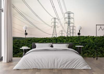 power lines in the field Wall mural