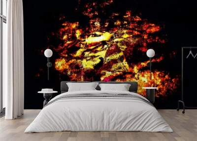 fire in the fireplace Wall mural