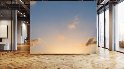 Dusk,Sunset sky twilight in the evening with colorful sunlight and dark blue,majestic ​sky vertical. Wall mural