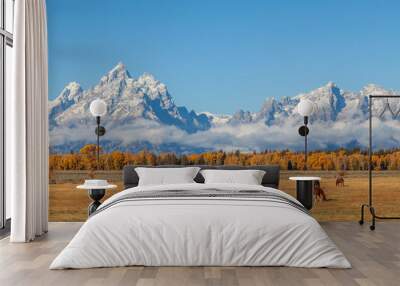 Horses Grazing in a Scenic Teton Autumn Landscape Wall mural