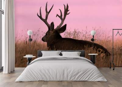 Mule Deer Buck at Sunrise in Autumn in Colorado Wall mural