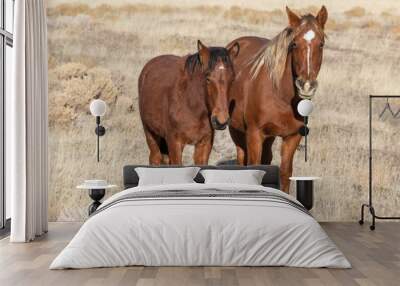 Wild horse Mare and Foal Wall mural