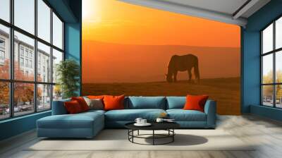 Wild Horse Silhouetted at Sunset Wall mural