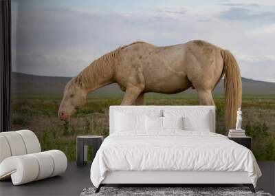 Wild Horse Stallion in Spring in Utah Wall mural