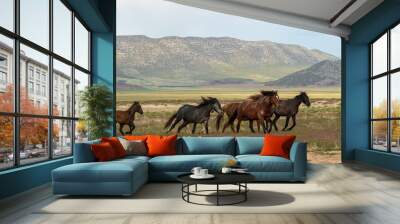 Wild Horses Running in the Utah Desert Wall mural