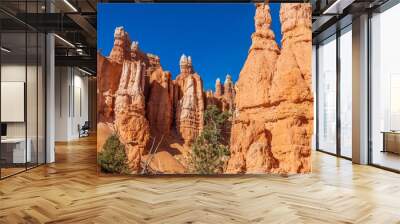 Winter Landscape in Bryce Canyon Utah Wall mural