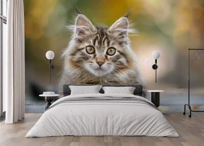 Adorable american bobtail cat playful hd pet wallpaper cute and lovely feline portrait Wall mural