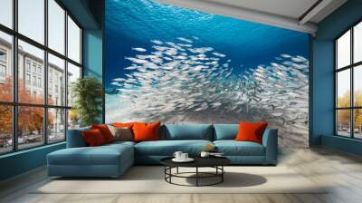 Bait ball / school of fish in shallow water of coral reef  in Caribbean Sea / Curacao Wall mural