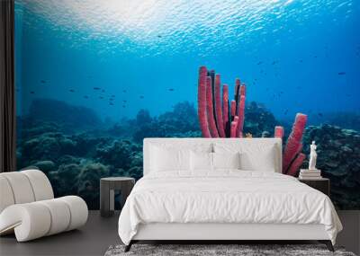 The magnificent coral reef of the Caribbean Sea Wall mural