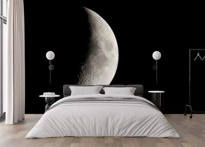 Half Moon Wall mural