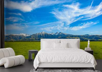 New Zealand summer landscape with mountain range Green Field and Blue Sky, South Island, New Zealand Wall mural