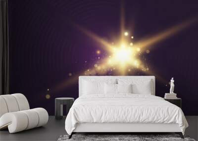 Special lens flash, light effect. The flash flashes rays and searchlight. illust.White glowing light. Beautiful star Light from the rays. The sun is backlit. Bright beautiful star. Sunlight. Glare.	
 Wall mural