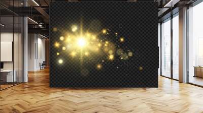 Special lens flash, light effect. The flash flashes rays and searchlight. illust.White glowing light. Beautiful star Light from the rays. The sun is backlit. Bright beautiful star. Sunlight.
 Wall mural