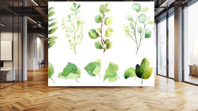 Floral water color leaves set , transparent background Wall mural