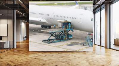 Loading platform of air freight to the aircraft. Food for flight check-in services and equipment to ready before boarding the airplane. Wall mural