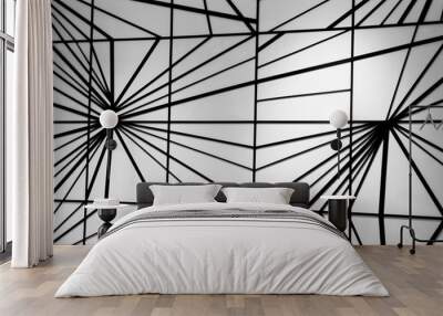 Black and white modern line wall background  Wall mural