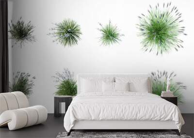 Beautiful garden plant Wall mural