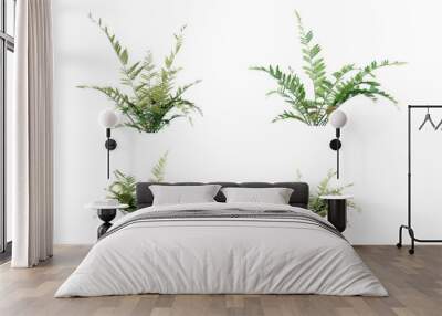 Beautiful garden plant Wall mural