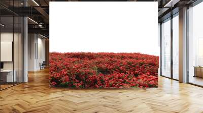 Beautiful grass and flower landscape Wall mural