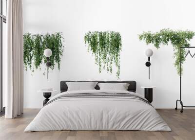 beautiful ivy green and flower Wall mural