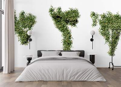 beautiful ivy green and flower	
 Wall mural