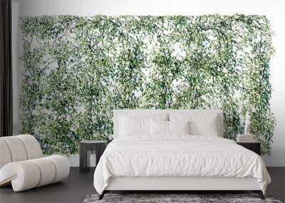 Beautiful ivy wall in green and flower Wall mural