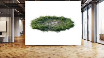 Round surface of Small Plant forest patch covered with flowers, green or dry grass and stone isolated on transparent background. Realistic natural element for design. Bright 3d Wall mural