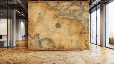 Craft a stunning antique map side view with intricate cartographic details, featuring ornate compass roses, elegant script labels, and aged parchment textures Wall mural