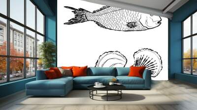 Set of sea bass, fish and shells. Wall mural