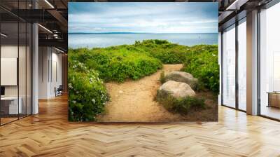 Dirt footpath, two large boulders and wild rose bushes at the seashore with a view of Martha's Vineyard on Cape Cod Wall mural