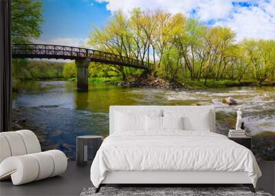 Tranquil beautiful spring forest landscape with the rustic footbridge and arching maple trees over the Big Sioux River at Parsly Park in Sioux Falls, South Dakota, USA Wall mural