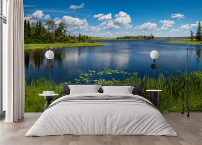 Tranquil landscape and dramatic cloudscape with fur trees, water lily, and plants in Sand Lake near Riding Mountain National Park on John Bracken Hwy in Onanole, Manitoba, Canada Wall mural