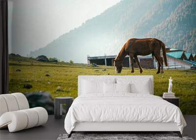 Shallow focus of a grazing horse in the mountains Wall mural