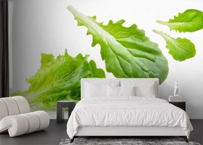 falling salad leaves isolated on white background with clipping path Wall mural