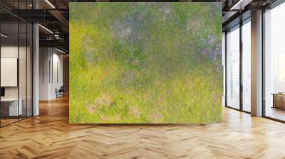 Aerial top view of Natural grass texture Wall mural