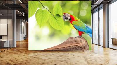 Colorful Macaw bird at tree branch in morning sunlight on nature background Wall mural