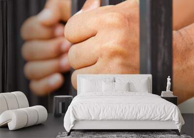 hand on cage Wall mural